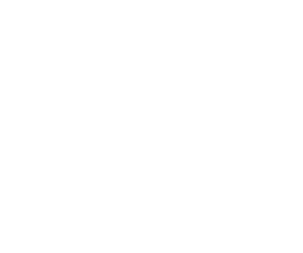 The Boss Burger Van | Burgers, Chicken & Sandwiches